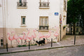 Sauvage à Montmartre