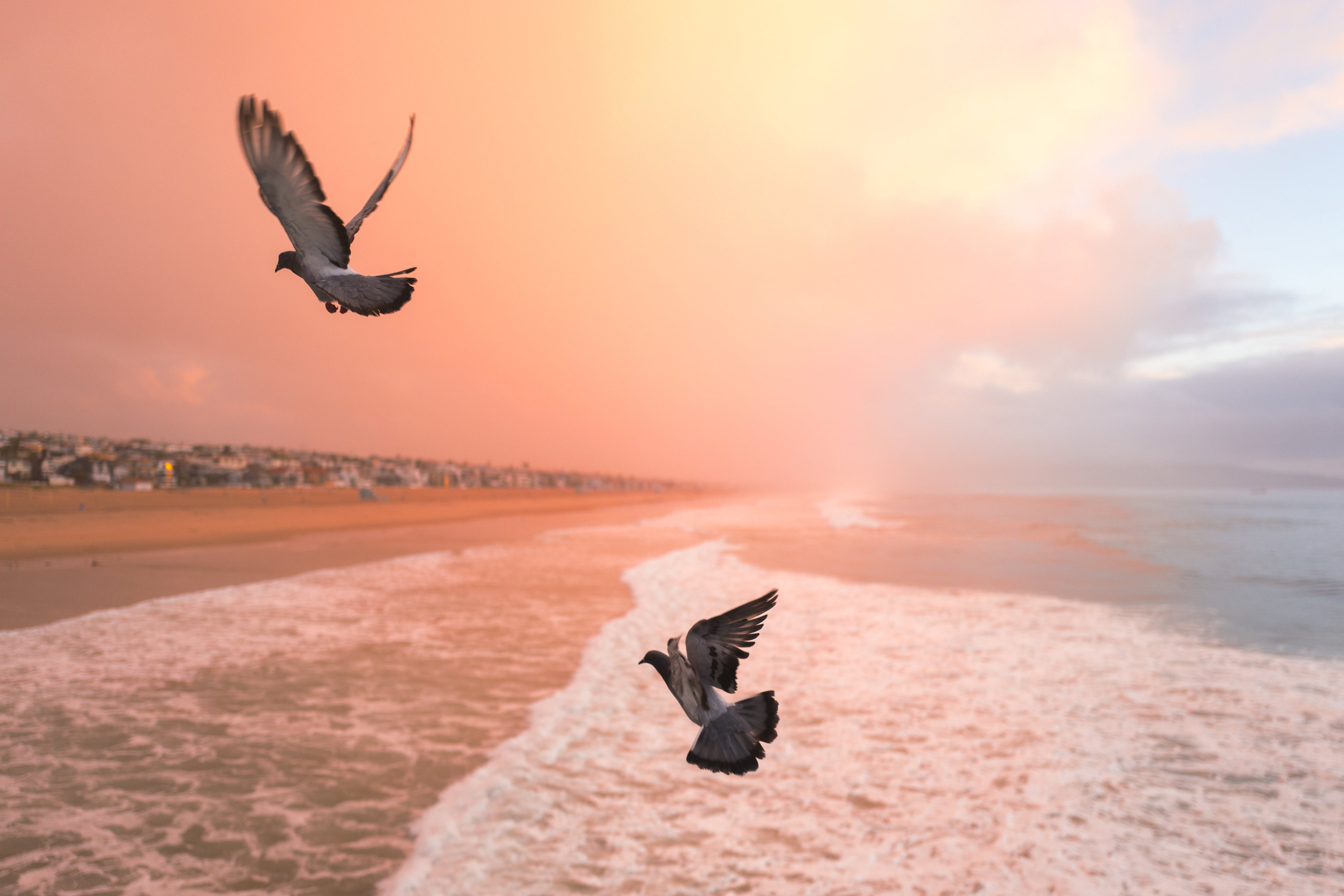 Coastal Flight