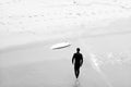 Surfer Walking Shore